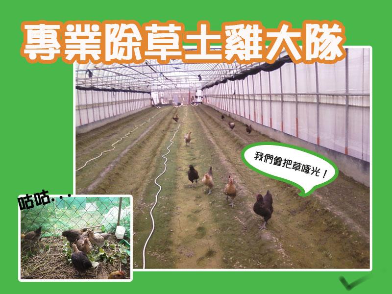 天然除草法