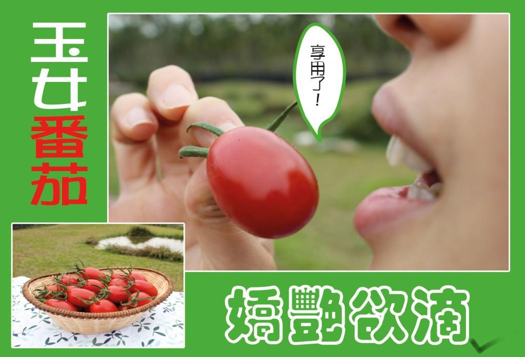 檜木玉女番茄